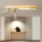 LED LED FILBERTO, 69W, cold/warm light/neutral adjustable acrylic projector and white and gold metal