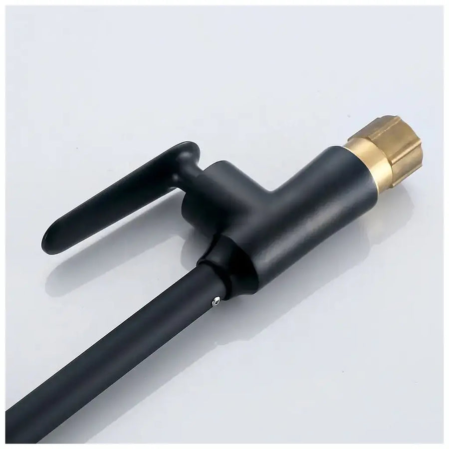 Ceramic Cartridge Basin Mixer Black Rotating Spout Connections Included EC01