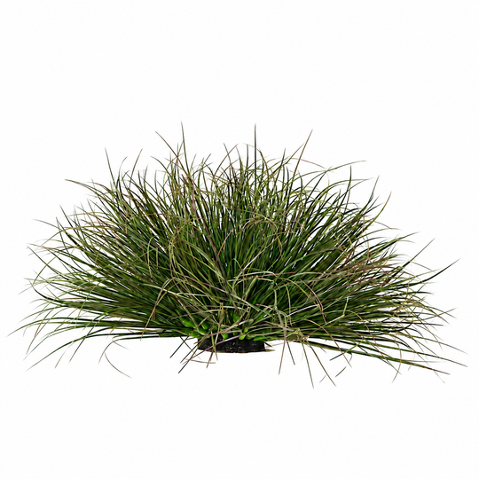 Artificial Plant Curved Onion Grass Bush, 28cm, Low Density, Dark Green, Potless