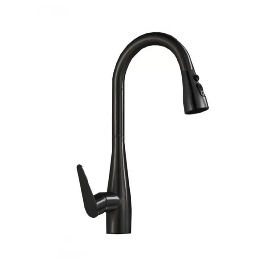 Kitchen Faucet with Pull-out Shower Stainless Steel Silver ZY1009