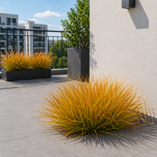 Artificial Plant Curved Onion Grass Bush, 38cm, High Density, Yellow and Orange, Potless