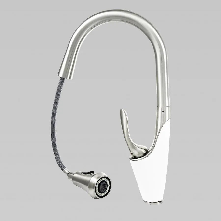 Kitchen Faucet with Pull-out Spray, Sanitary Brass, Chrome, W054