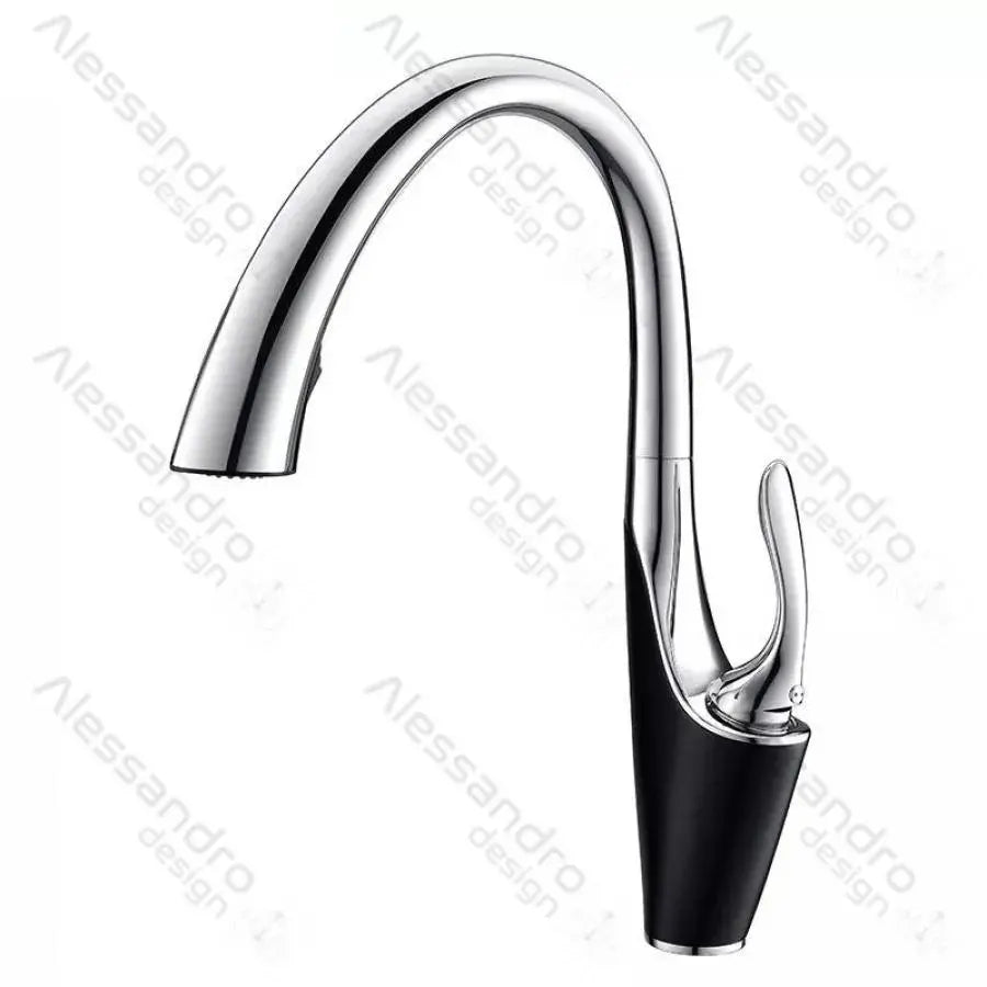 Kitchen Faucet with Pull-out Spray, Sanitary Brass, Chrome, W058