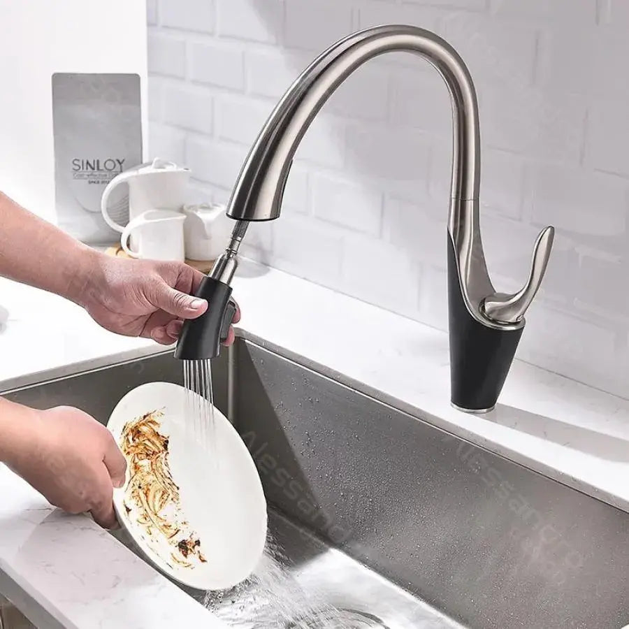 Kitchen Faucet with Pull-out Spray, Sanitary Brass, Chrome, W058