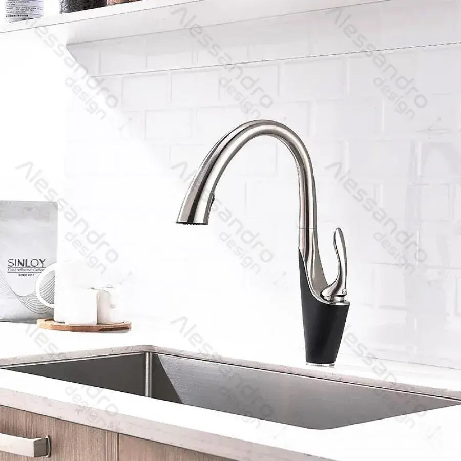 Kitchen Faucet with Pull-out Spray, Sanitary Brass, Chrome, W058