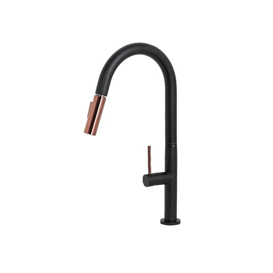 Kitchen Faucet with Pull-out Shower, Sanitary Brass, Black, CF2042
