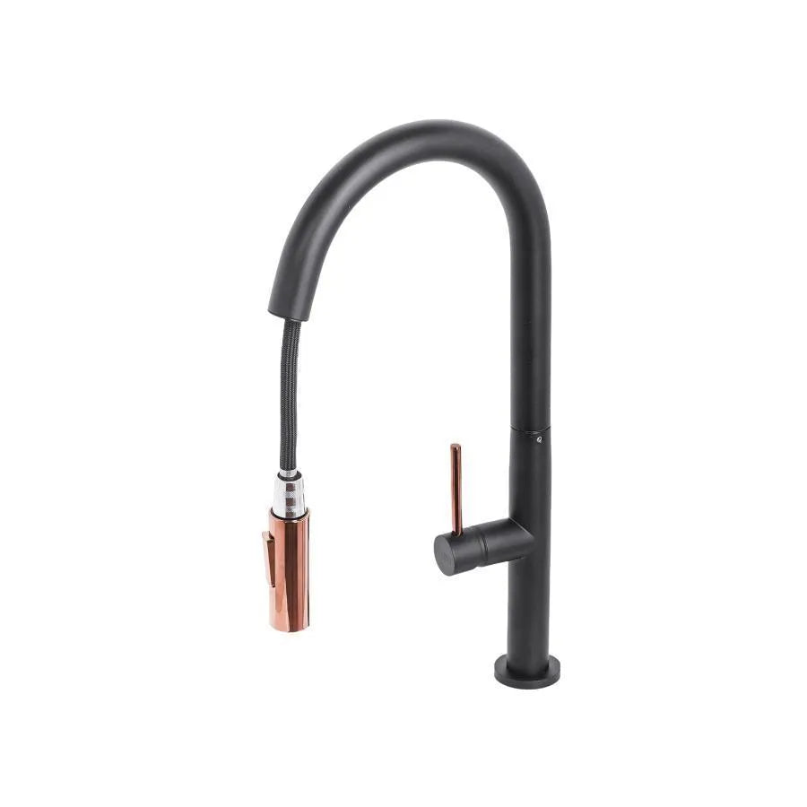 Kitchen Faucet with Pull-out Shower, Sanitary Brass, Black, CF2042