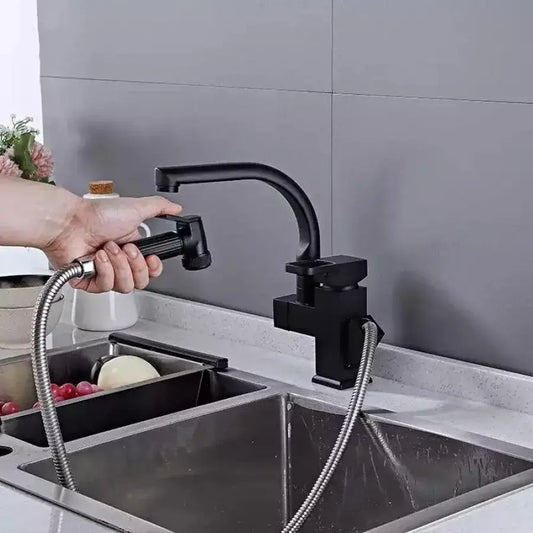 Kitchen Faucet with Pull-out Spray, Sanitary Brass, Black, OD/2031