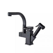 Kitchen Faucet with Pull-out Spray, Sanitary Brass, Black, OD/2031