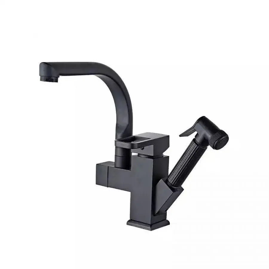 Kitchen Faucet with Pull-out Spray, Sanitary Brass, Black, OD/2031