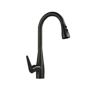 Kitchen Faucet with Pull-out Shower Black Stainless Steel ZY1012