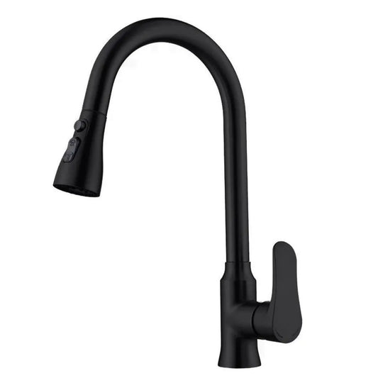 Kitchen Faucet with Pull-out Shower Black Stainless Steel ZY1013