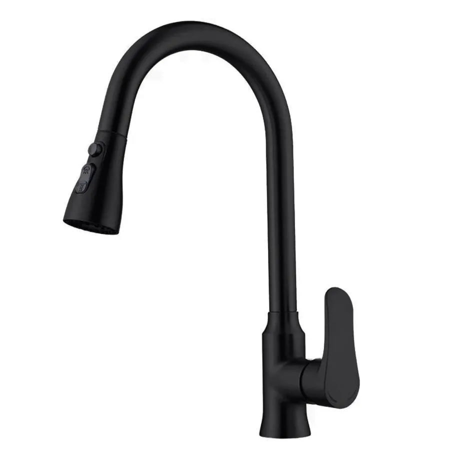 Kitchen Faucet with Pull-out Shower Black Stainless Steel ZY1013