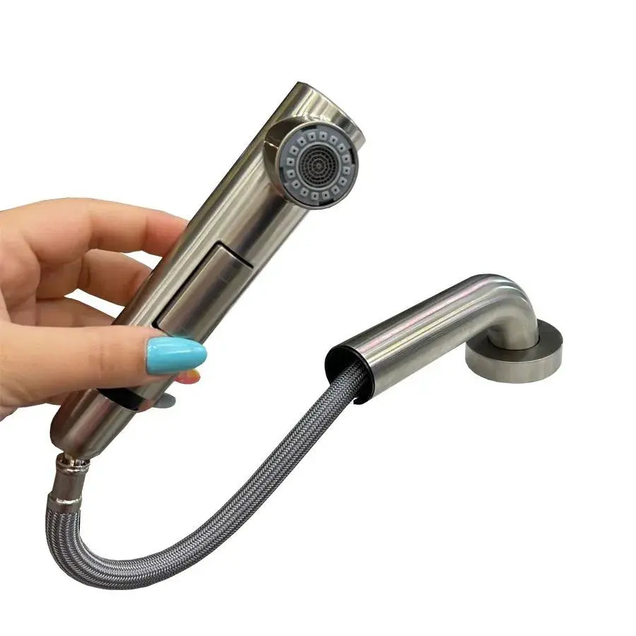 Kitchen Faucet with Pull-out Shower Stainless Steel Silver YSQ/106