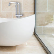 Floor Mixer with Plunger and Hose, Sanitary Brass, Chrome, CF2039