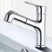 Pull-out Shower Mixer, Sanitary Brass, Chrome, WZY108/B