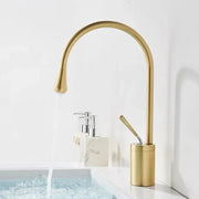 Basin Faucet, Sanitary Brass, Gold, WZY/325/B