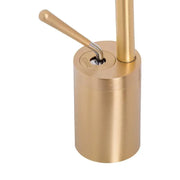 Basin Faucet, Sanitary Brass, Gold, WZY/325/B