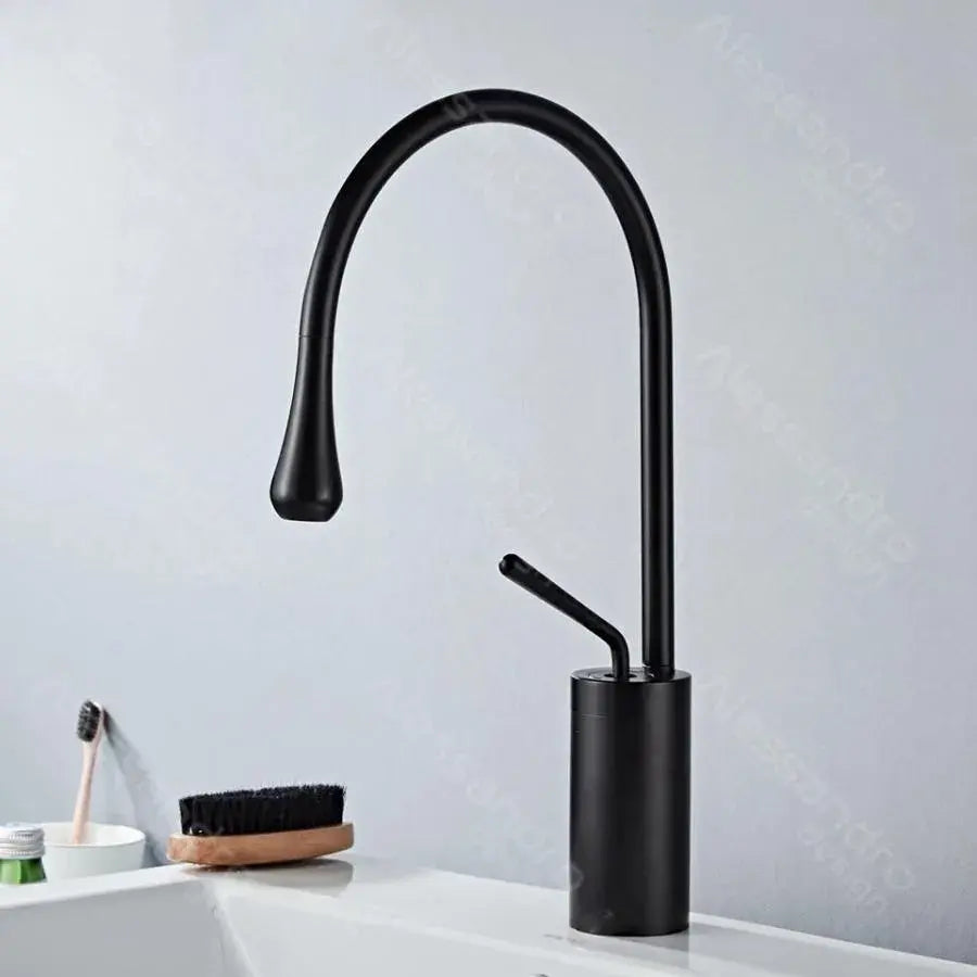 Basin Faucet, Sanitary Brass, Black, WZY/327/B