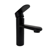 Black Stainless Steel Sink Faucet ZY1001