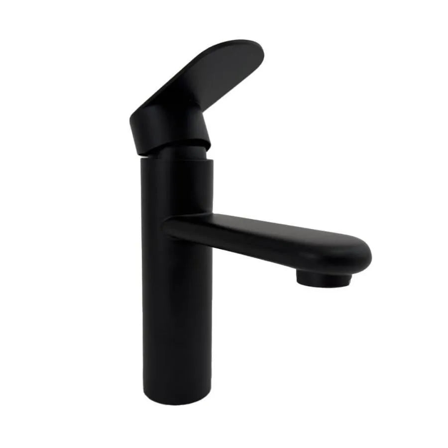Black Stainless Steel Sink Faucet ZY1001