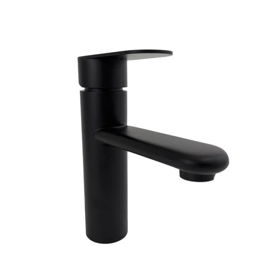 Black Stainless Steel Sink Faucet ZY1001
