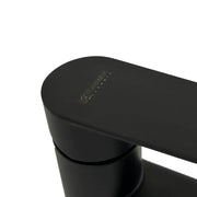 Black Stainless Steel Sink Faucet ZY1001