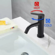 Basin Mixer, SUS304 Stainless Steel, Black, HS/LY007