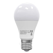 LED bulb E27 A60 12W=100W 6400K
