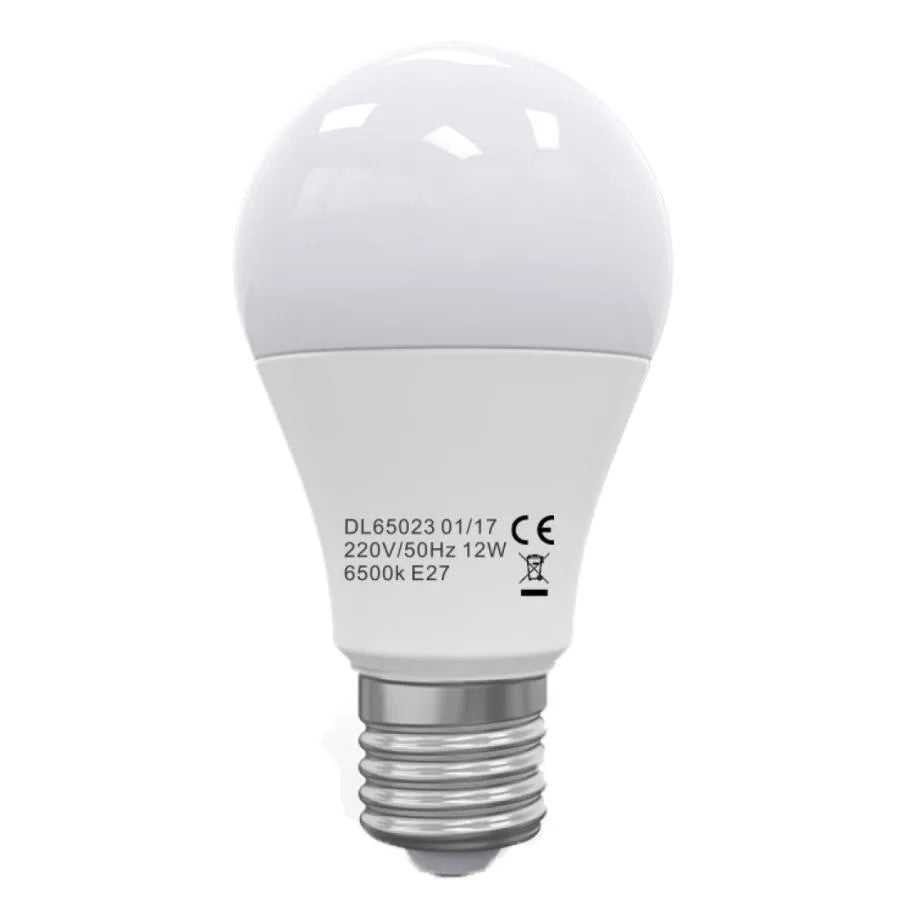 LED bulb E27 A60 12W=100W 6400K