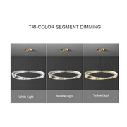Luigi Crystal Chandelier Gold