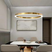 LED suspended chandelier ANINA 33W, 1 Circle, Cold/Warm/Neutral light, Dimmable, Shiny Gold White, Height Adjustable