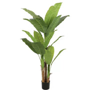 Artificial Japanese Banana Plant, 3 Branches, Without Pot 190cm Green