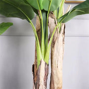 Artificial Japanese Banana Plant, 3 Branches, Without Pot 190cm Green
