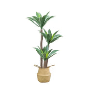 Artificial Dracaena fragrans Plant, without Pot, 180cm Green