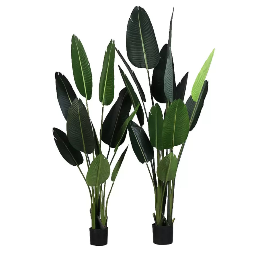 Artificial Bird of Paradise Plant (Strelitzia Nicolai), 11 Leaves, without Pot, 160cm Green