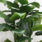 Artificial Japanese Banana Plant, 4 Branches, without Pot 180cm Green