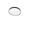 LED ceiling lights