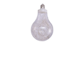 Ornamental Bulbs