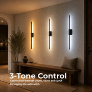 Raffaela LED Chandelier 19W, 3000K, 4000K, 6000K, Acrylic 82.5cm, Black - 11_LL870-80BK.png