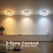 LED and crystal chandelier ZABINA 25W, 2 Circles, Cold/Warm/Neutral light, Shiny Chrome - 11_LT062CR.png