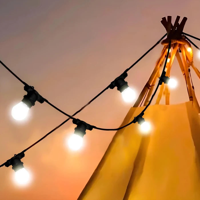 LED strip 12W/m 24V 10m IP20 6000K