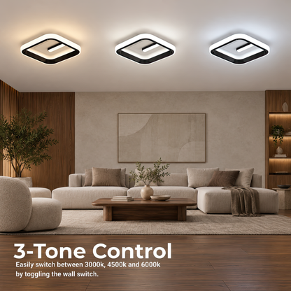LL700P — 2. 3 Tone Control - LL700P