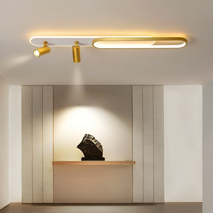 LED LED FILBERTO, 69W, cold/warm light/neutral adjustable acrylic projector and white and gold metal