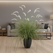 Foxtail Artificial Grass Ornamental Plant, 120cm, Curved Grass and Spices, Green and White, No Pot