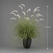 Foxtail Artificial Grass Ornamental Plant, 120cm, Curved Grass and Spices, Green and White, No Pot
