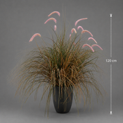Foxtail Artificial Grass Ornamental Plant, 120cm, Curved Grass and Spices, Green and Pink, No Pot