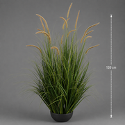 Artificial Cattail Grass Ornamental Plant, 120cm, 17 Stems, Curved Grass and Spices, Deep Green, Potless