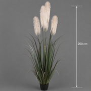 Artificial Plant Ornamental Grass, 200 cm, with 4 strands, Reed and Grass, Green and Gray, No Pot