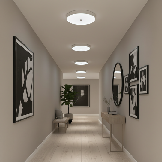 LED ceiling lamp PL8001, D22cm, IP44, 8W, Cold Light 6000k, Plastic, White